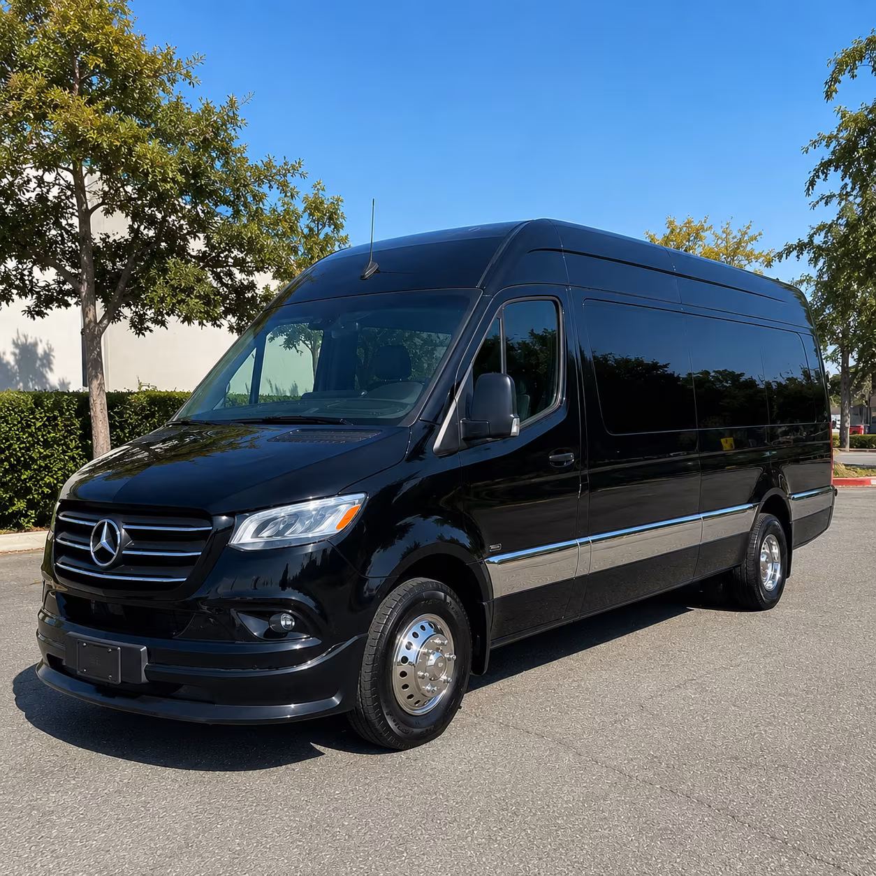 anchorage sprinter limousine